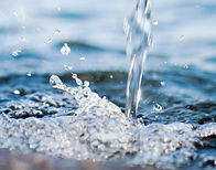 WATERMGMT.jpg