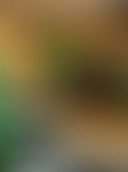 47 IDÉES DE DÉCO STYLÉES POUR UN PETIT SALON