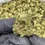 Thumbnail: Jiffy Cake -Indica dominant hybrid