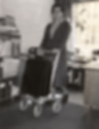 Aina Wifalk Rollator.jpg