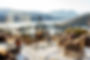 Norway travel packages