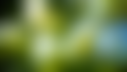 ThinkEngine Reimagine Environmental Contribution With Ecologi