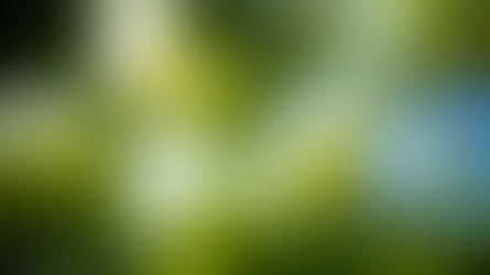 ThinkEngine Reimagine Environmental Contribution With Ecologi