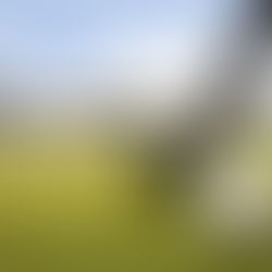 FROM PLAYGROUNDS TO BUSINESS: HOW SPORTS SHAPED OUR ENTREPRENEURIAL JOURNEY