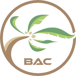 Breeze Air Conditioning Logo2_edited_edi