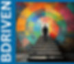 BDRIVEN_edited_edited.jpg