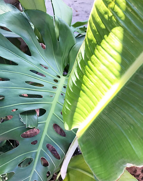 Screenshot 2024-01-11 at 4.08.55 PM.png