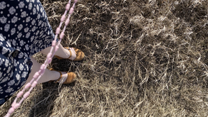 Practically Integrating Your Faith Into Your Daily Life