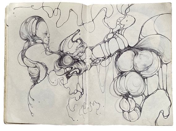 Untitled_Artwork-2.png