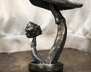 La boutique des enfants sauvages