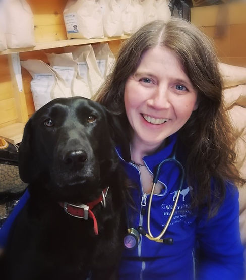 first-aid-courses-dogs.jpg