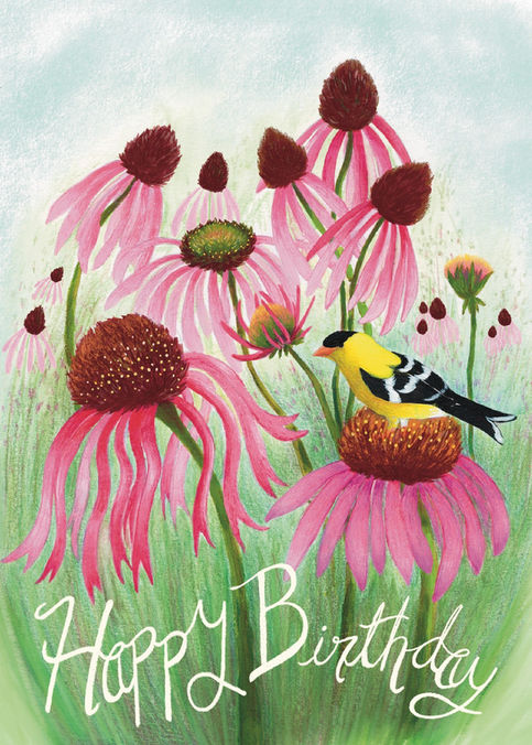 Happy Birthday greeting card illustration with a coneflower meadow and goldfinch.