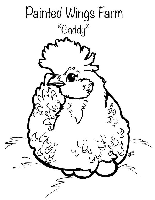 Caddy.jfif