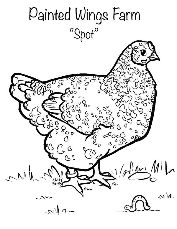Spot.jfif