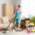 Home Clean-Out.png