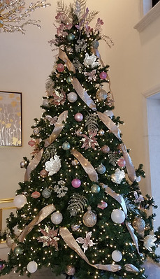 Christmas Tree 2021-Stuart FL