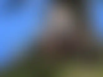 "Il Cosmo Sul Comò": stasera su Italia Uno