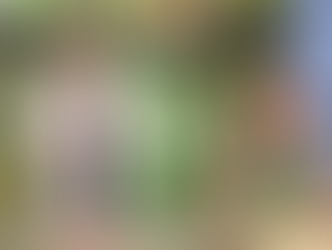 "Cook 40": ogni sabato su Rai Due