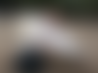 "La figlia oscura": stasera su Rai Movie