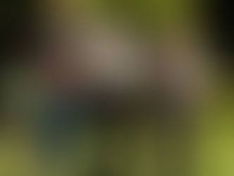 "Il ricco, il povero e il maggiordomo": stasera su Italia Uno