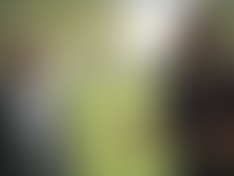 "Linea Verde Tipico": Bologna, la dolce Provincia