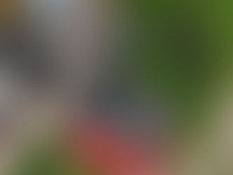 "Dritto e Rovescio" si occupa della tragedia del Mottarone