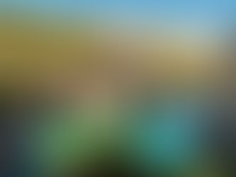 "Il Provinciale": il Cilento, la terra silente