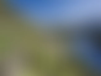 "Melaverde": domani su Canale Cinque