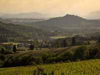 "Il Provinciale": La romagna e il canto dei poeti