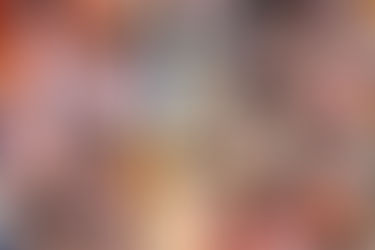 #Maestri: a lezione di Costituzione e di lingua italiana al femminile