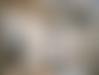 "Passaggio a Nord Ovest" alla scoperta di Vicenza