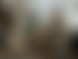 "Dolittle": stasera su Italia Uno