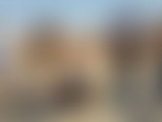 "Mai Stati Uniti": stasera su Nove