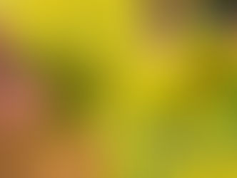 "Melaverde": ogni domenica su Canale Cinque