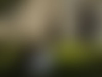 "Grand Hotel - Intrighi e passioni": stasera su Canale Cinque