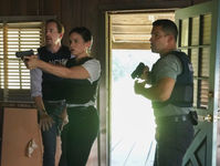 "N.C.I.S.": venerdì alle 21:20 su Rai Due