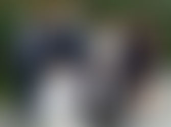 "Un posto al sole" torna lunedì con le nuove puntate