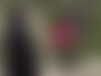 "Origini": Umbria, alle fonti della storia