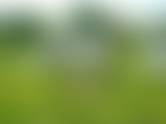 "Melaverde": ogni domenica su Canale Cinque