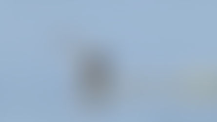 "I grandi ballerini della natura": La danza dell'amore