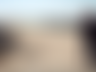 "Sapiens Files": da sabato 21 Giugno su Rai Tre