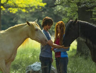"Windstorm - Contro ogni regola": stasera su Italia Uno