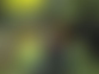 "Windstorm - Contro ogni regola": stasera su Italia Uno