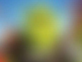 "Shrek e vissero felici e contenti": stasera su Italia Uno