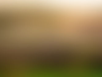 "Melaverde": l'avventura continua