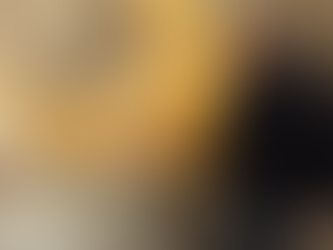 "Passaggio a Nord Ovest" alla scoperta del Parco Archeologico di Pompei