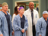 "Grey's Anatomy": la diciassettesima serie continua