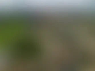 "Di là dal fiume e tra gli alberi": I confini di Roma Nord