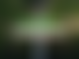 "Kilimangiaro" Collection