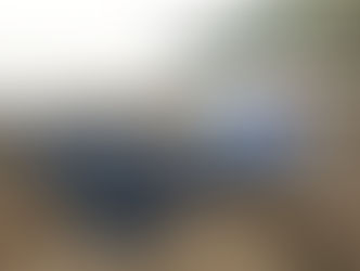 "Planet Earth II": Le Meraviglie Della Natura 